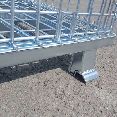 Space Saving Galvanized Metal Wire Mesh Cages Foldable 500KG-1000KG Load Capacity